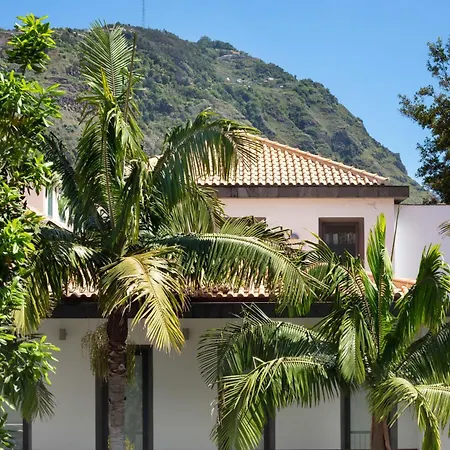 Visconde Ribeira Brava